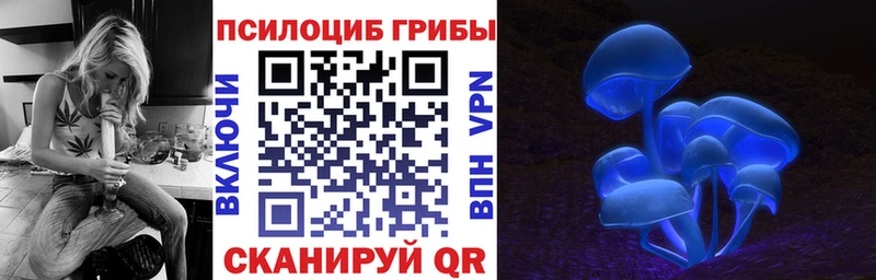 Галлюциногенные грибы мицелий  Сертолово 