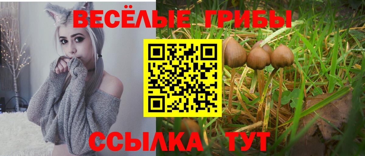 Галлюциногенные грибы мицелий Сертолово