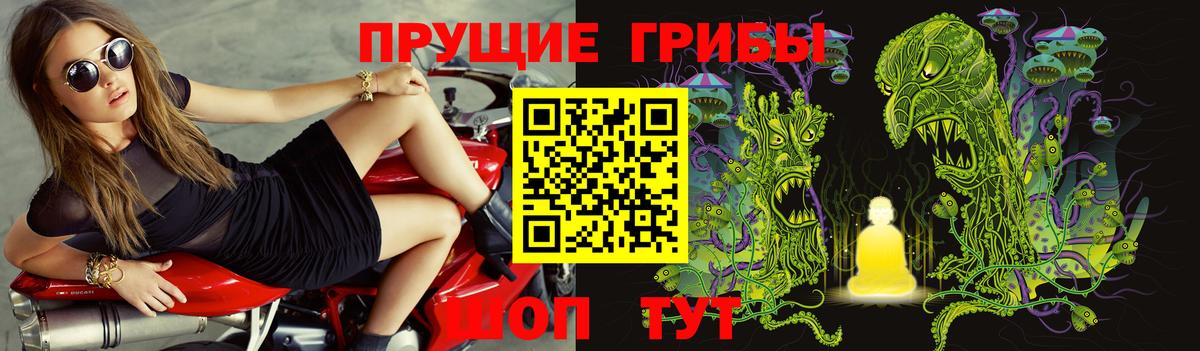 Псилоцибиновые грибы мухоморы  Вход с VPN  Сертолово 